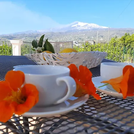 Zagara Holiday home Mascali