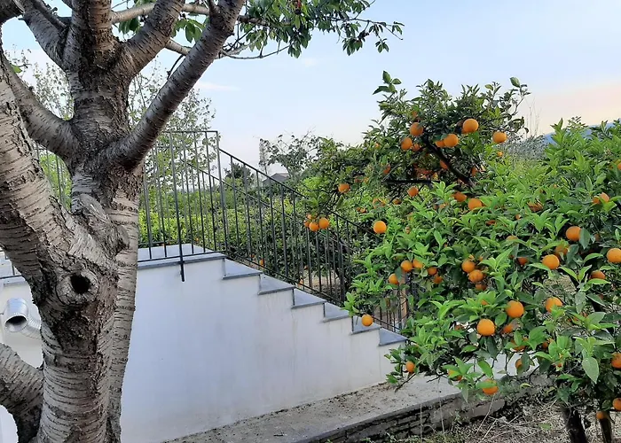 Zagara Tatil Evi *