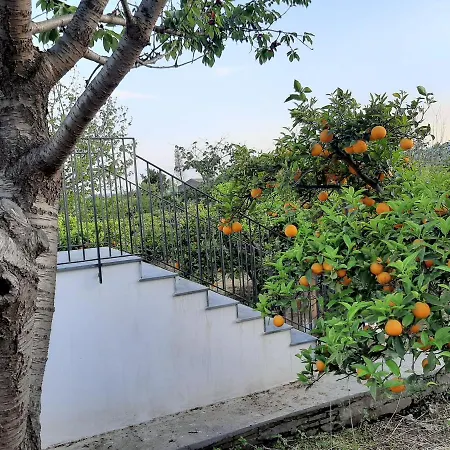 Zagara בית נופש *